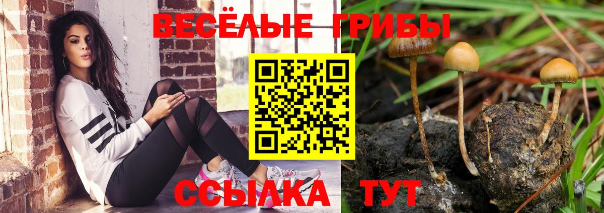 Волхов  Псилоцибиновые грибы ЛСД  Вход с VPN 